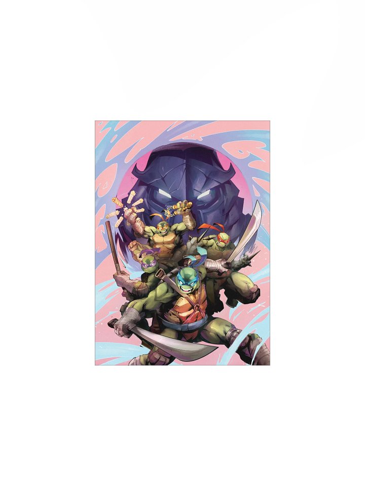 Teenage Mutant Ninja Turtles SHATTERED FATE POSTER product image (3)