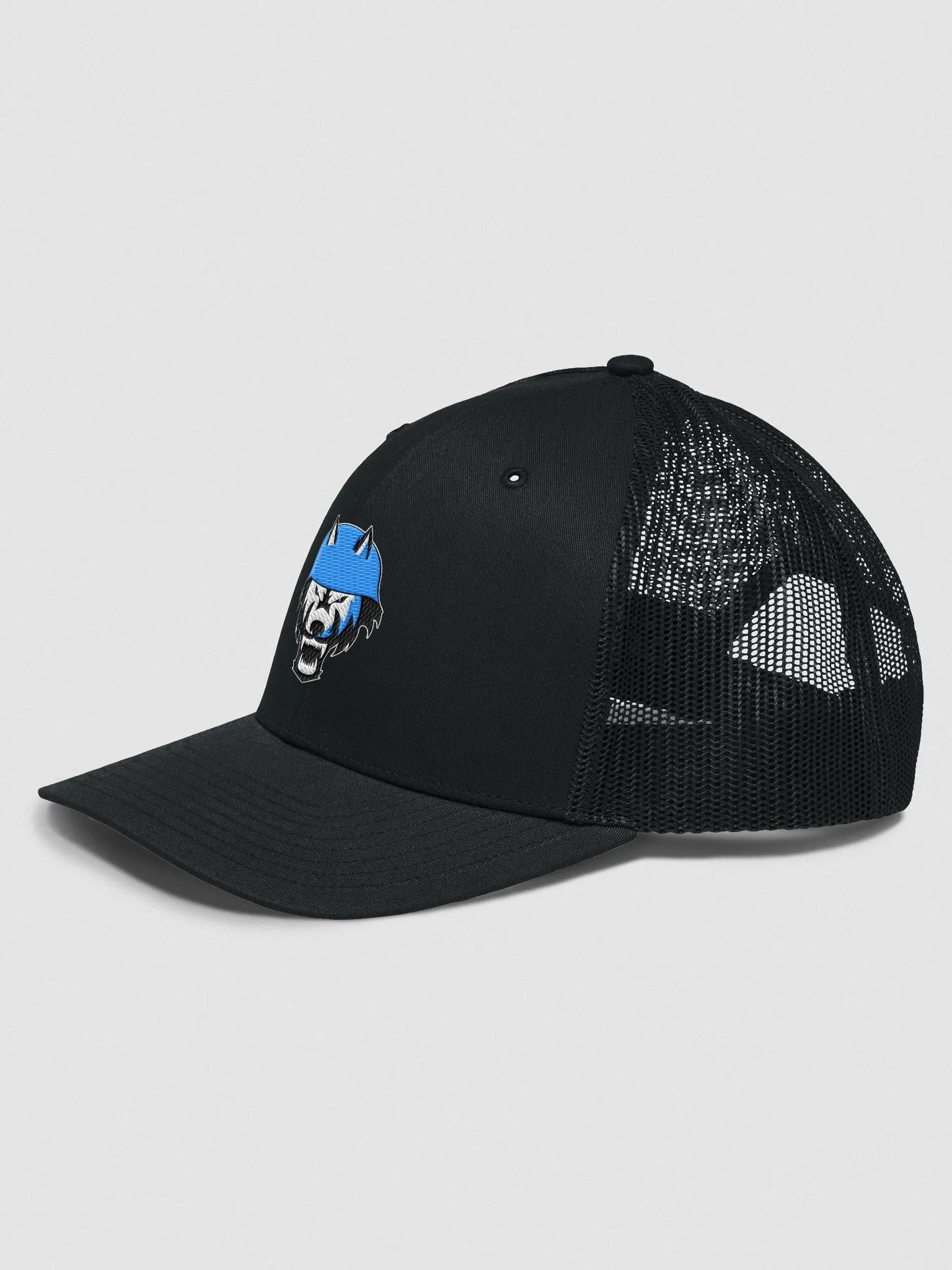 Dire Nation Logo - Richardson 112 Hat product image (2)