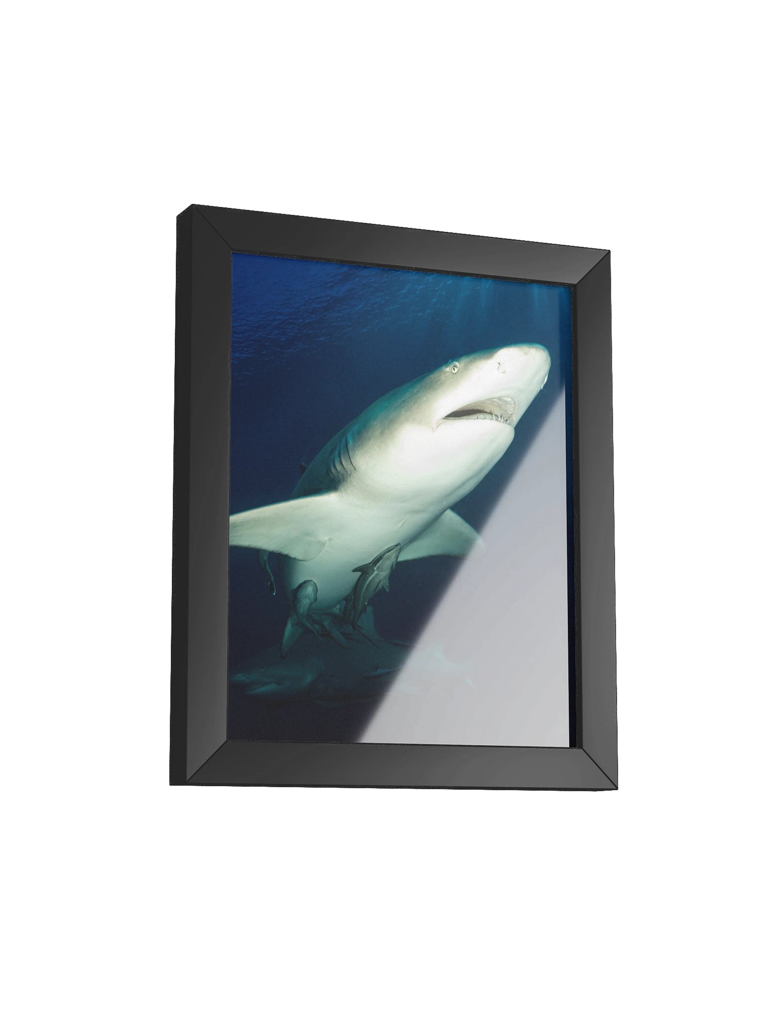 Upward Glide product image (7)