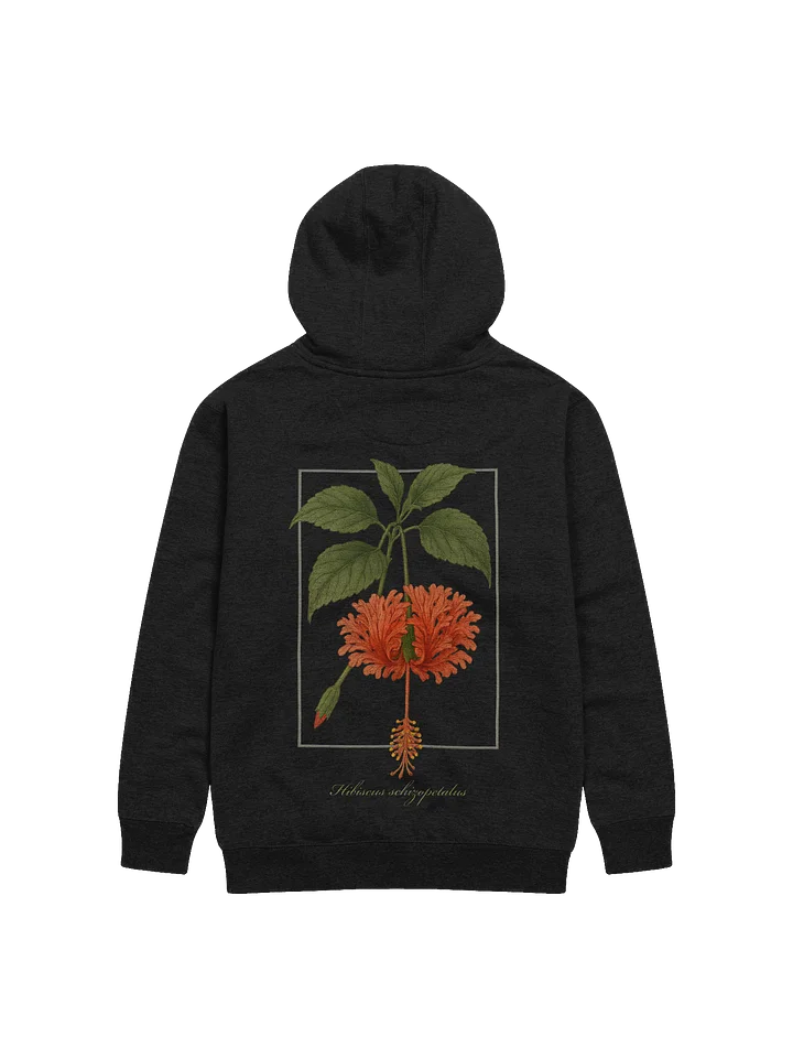 Hibiscus schizopetalus Premium Adult Unisex Hoodie product image (1)