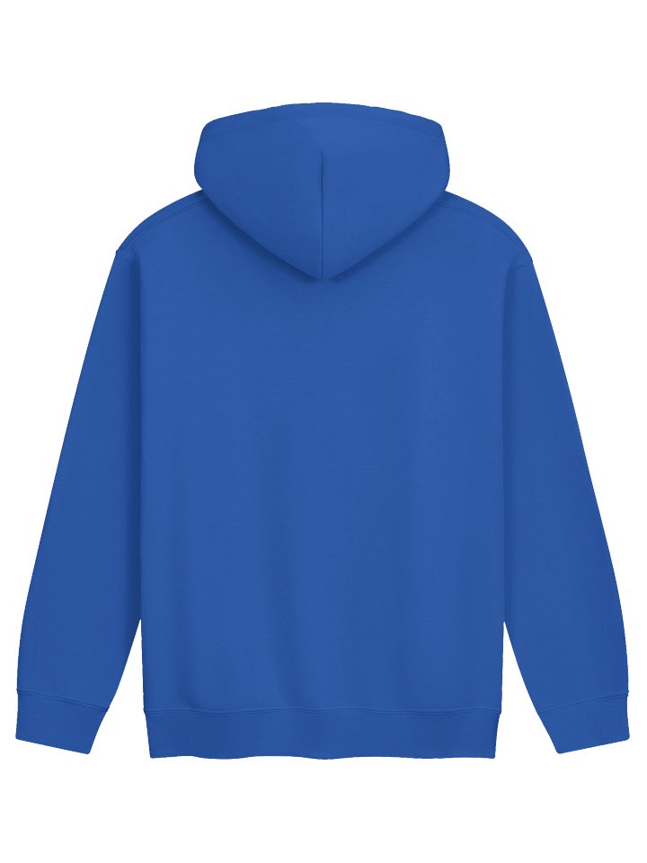 Turtleboy License Plate - Unisex Classic Hoodie product image (2)