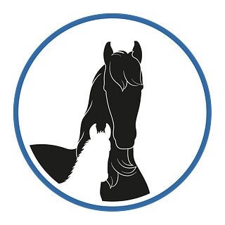 Friesian Horses