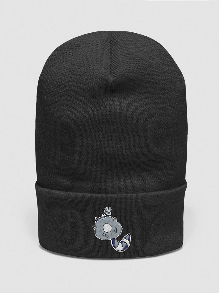 Racoon Trash product image (1)