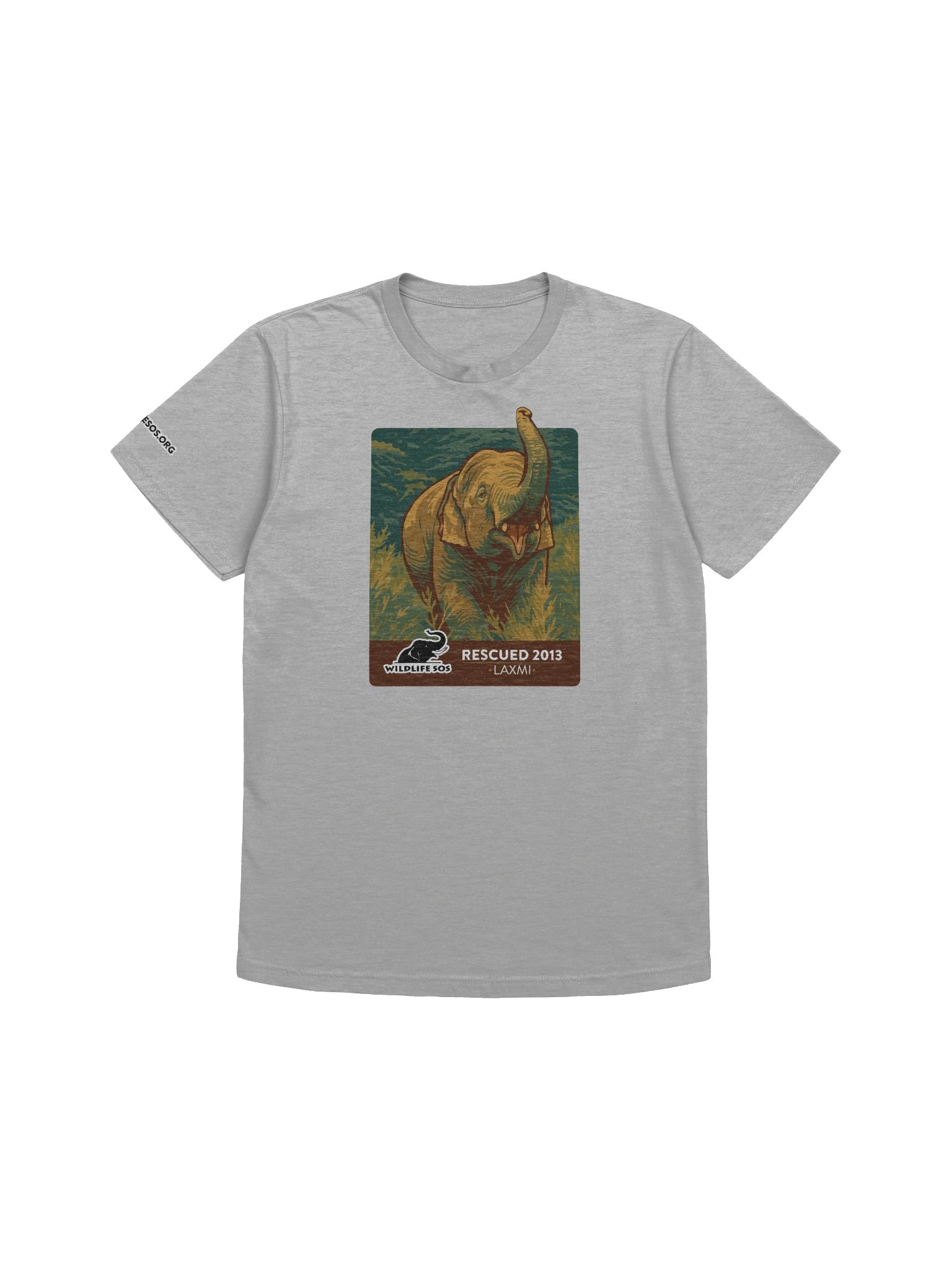 Laxmi - Rescued 2013! product image (12)