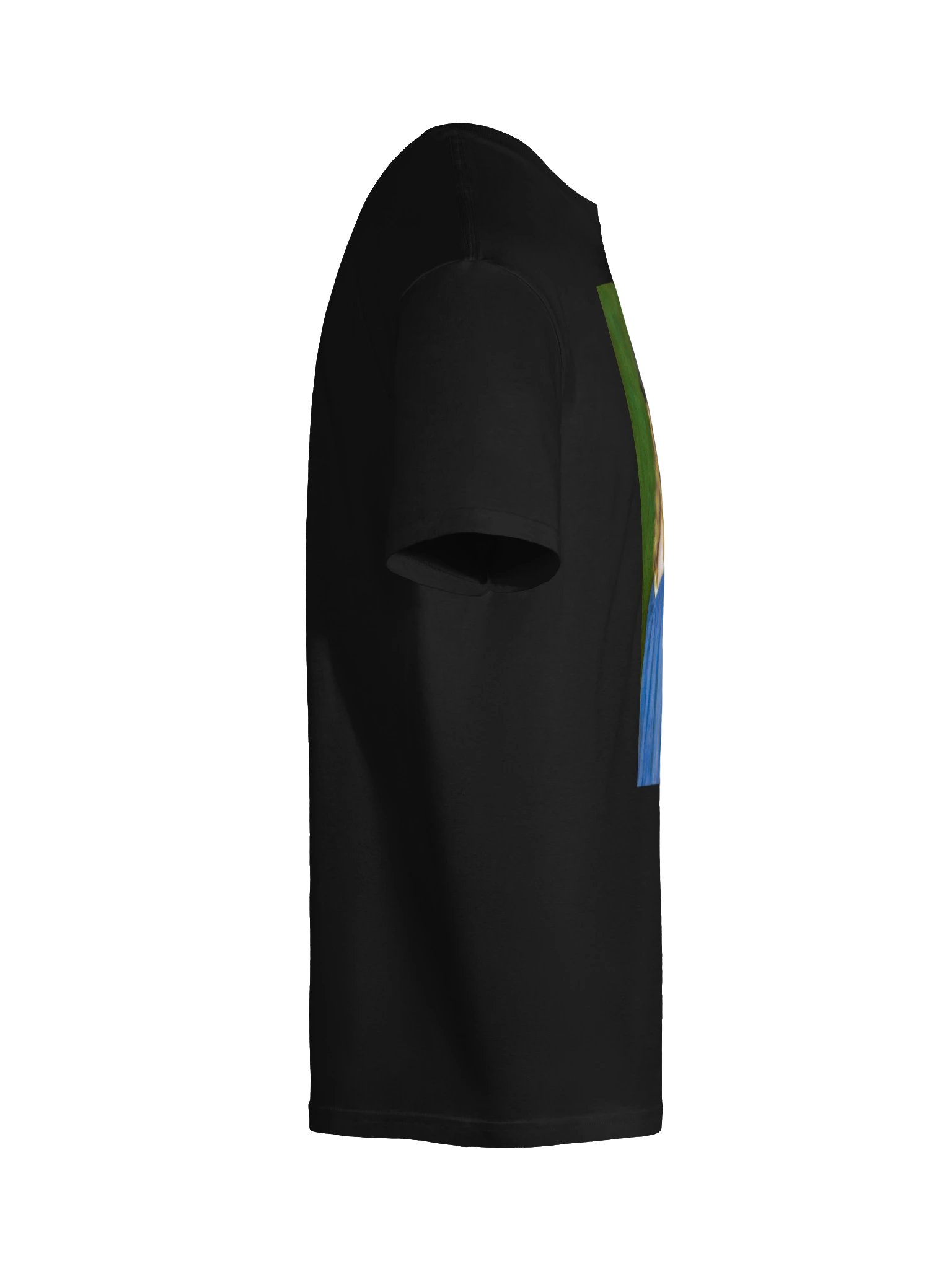 Portrait of Bindo Altoviti — T-Shirt product image (64)
