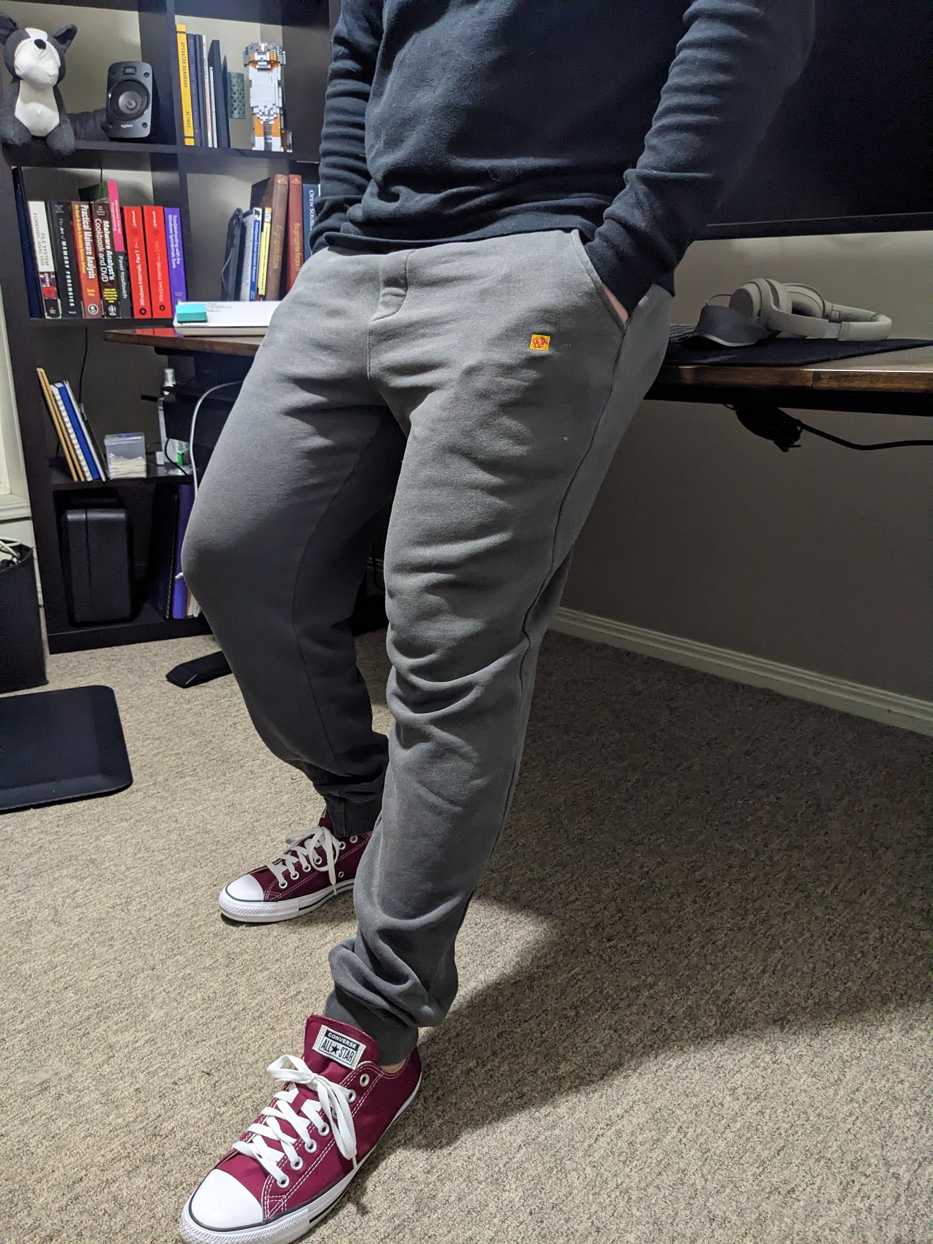 WFH appropriate (track)pants product image (1)