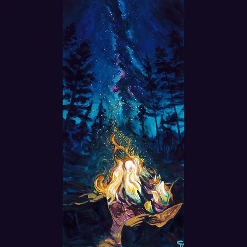 How to capture the experience of stargazing while laying fireside in the backcountry?

I wanted to capture the feeling of not...