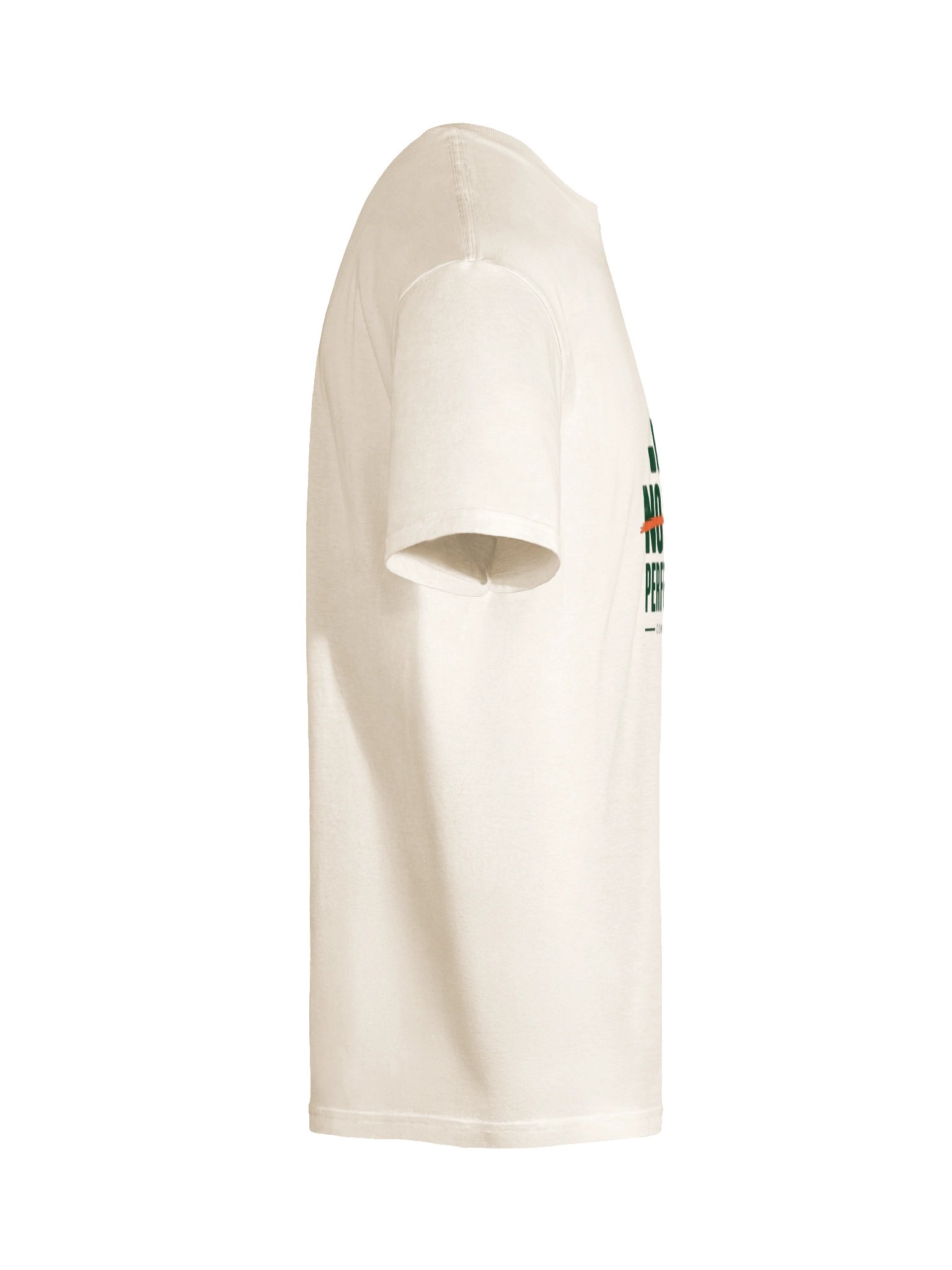 No Signal / Perfect Reception T-Shirt product image (10)