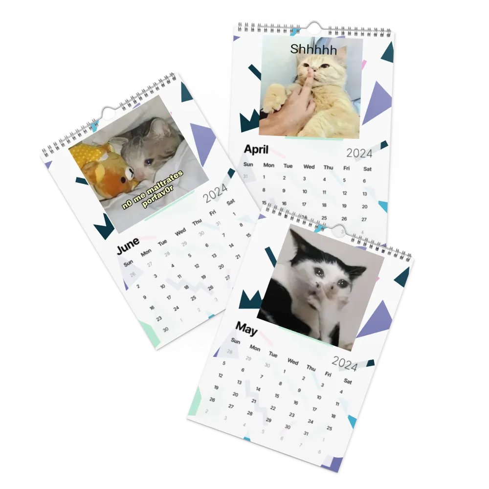 Wall Calendar (2024): Meme Cats product image (3)