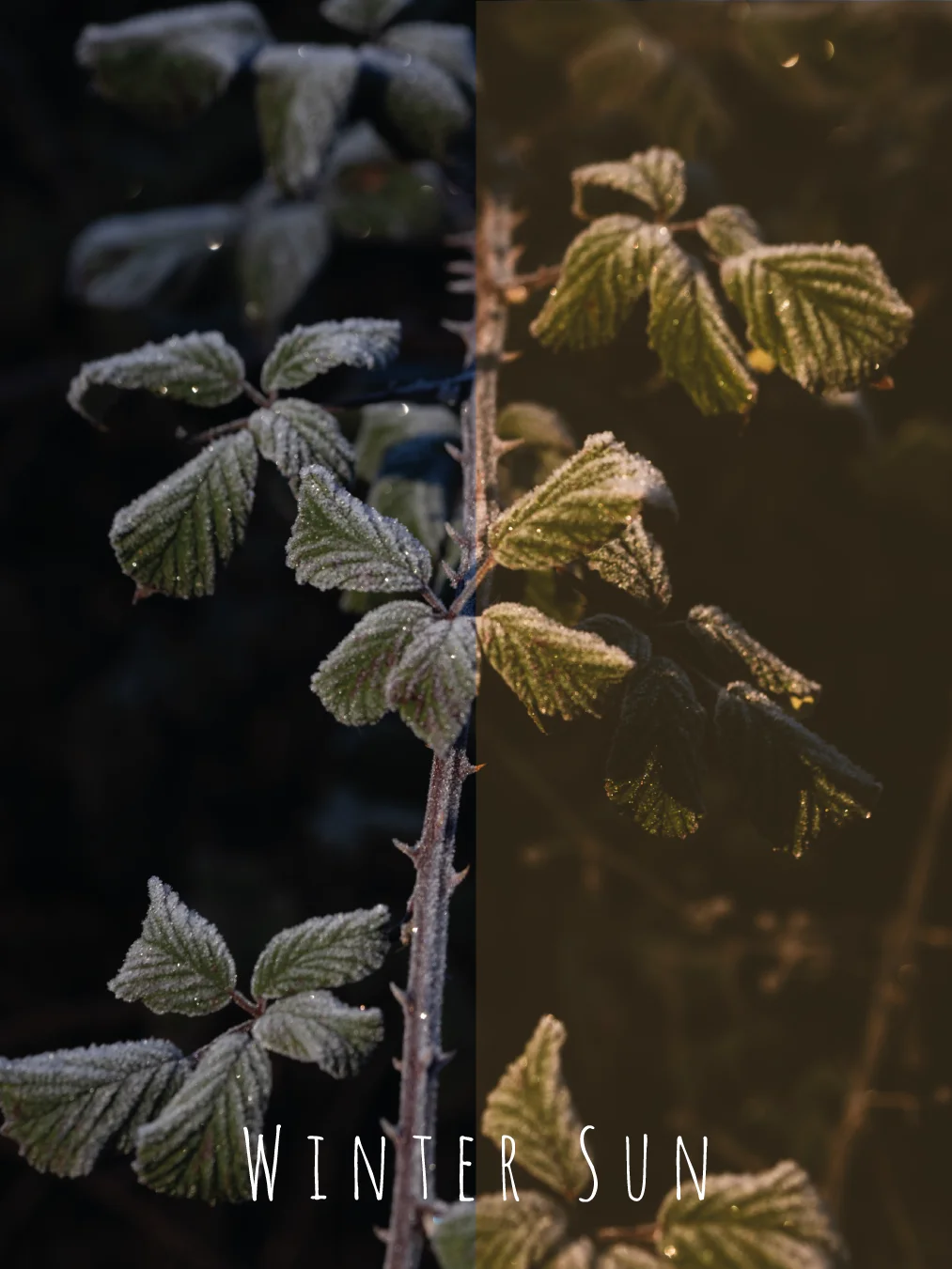 PRESETs PACK product image (3)