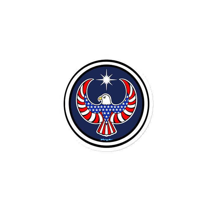 USA Eagle- Resistance (magnet) product image (2)
