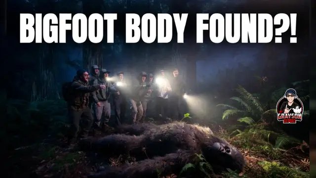Is this proof that Bigfoot exists?!?  What do you think?  Check out our latest video and Comment below!!  Link in the Bio or Search Grayson Report on YT! #Bigfoot, #Sasquatch, #Cryptids, #Paranormal, #bigfootisreal 