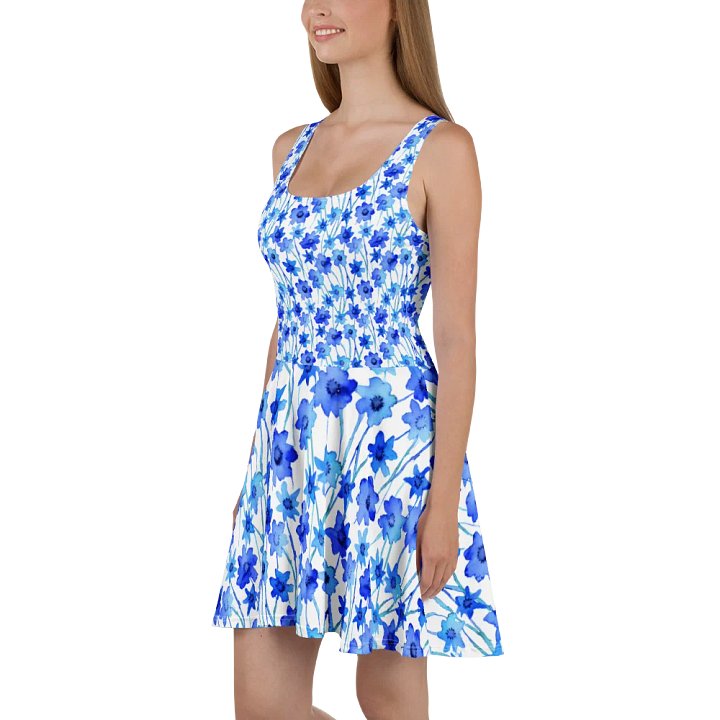 Blue Borage Skater Dress product image (1)