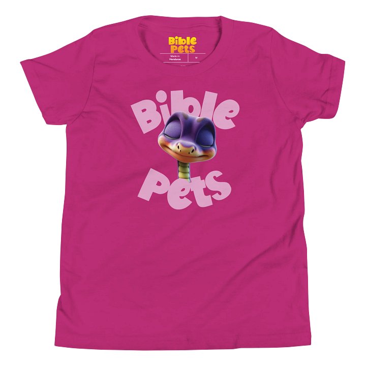 Silas Praying Youth T-Shirt product image (2)