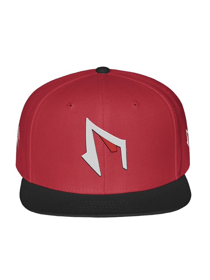 FAME PRODUCTIONS Multi LOGO FLAT BRIM HAT SNAP BACK product image (1)
