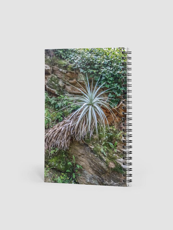 📓 Notebook Collection PURE – Jardin du Rayol – Gardienne des Roches product image (2)