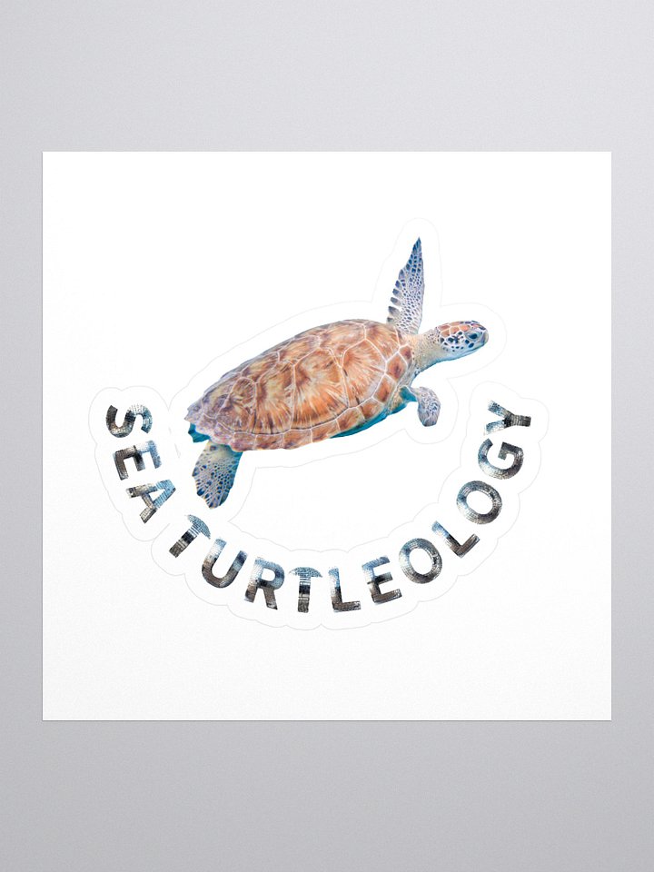 Sea Turtleology product image (1)