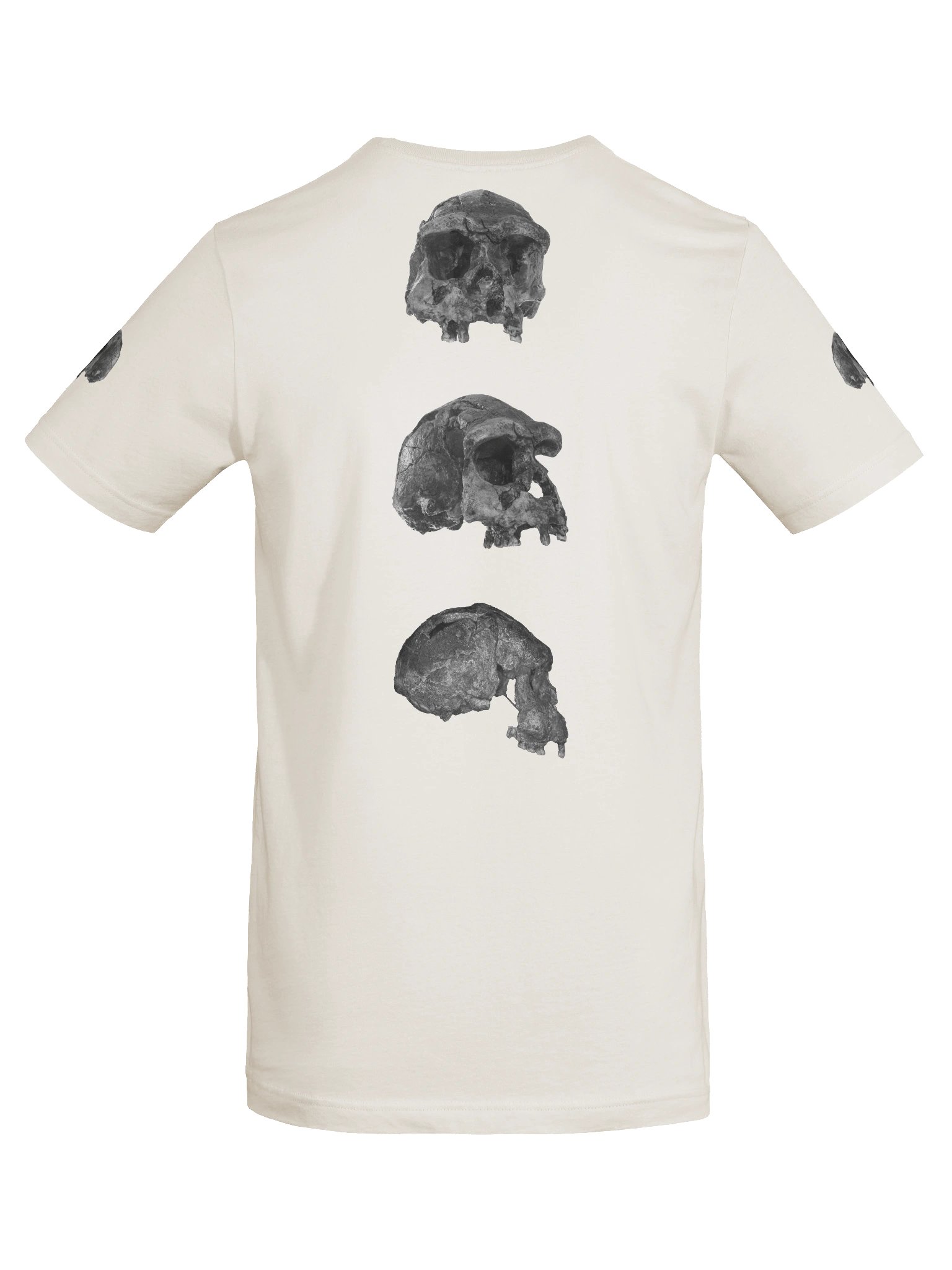 Erectus Fossil Skull T-Shirt Light product image (43)