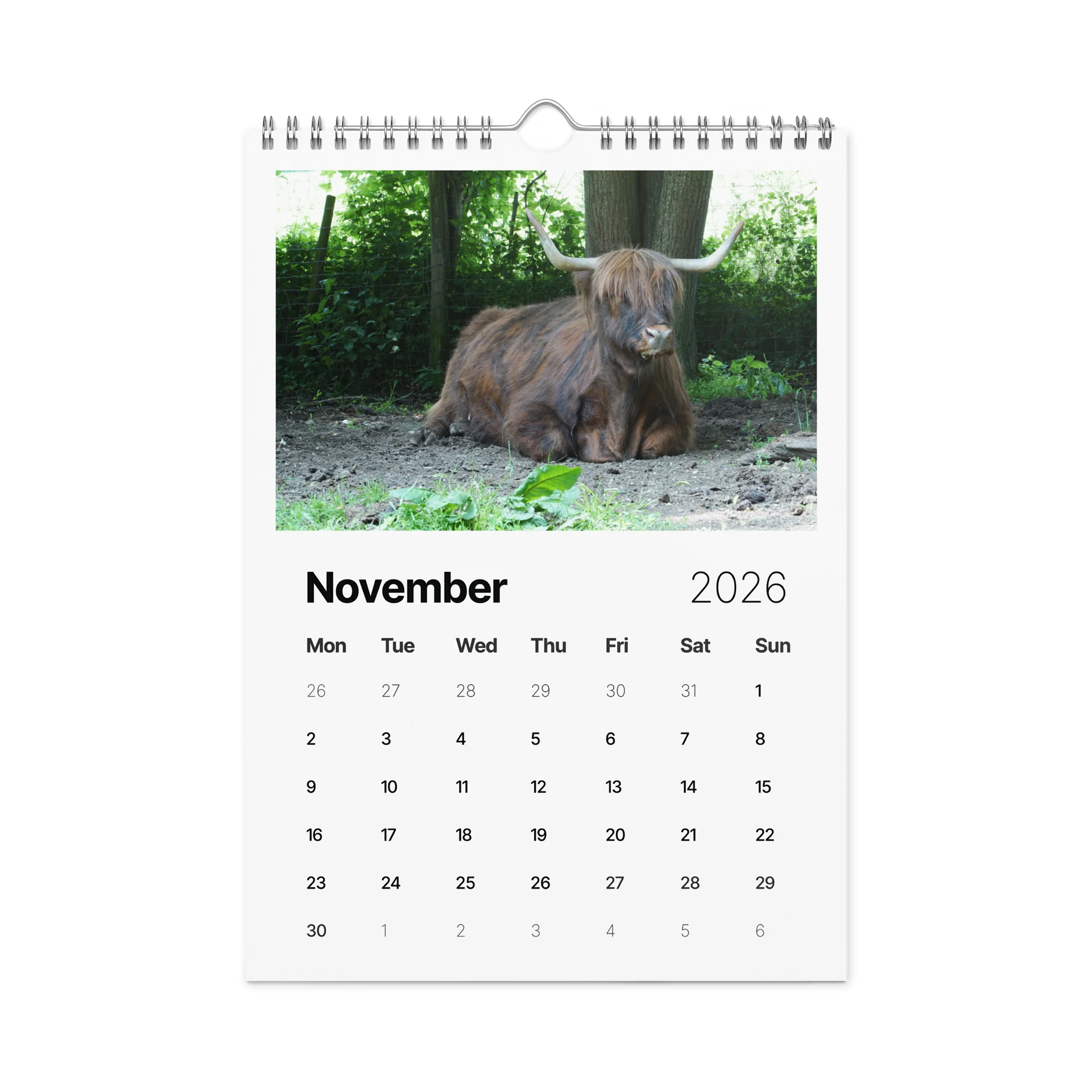 One Year, Twelve Animals: ESE 2026 Wall Calendar product image (11)