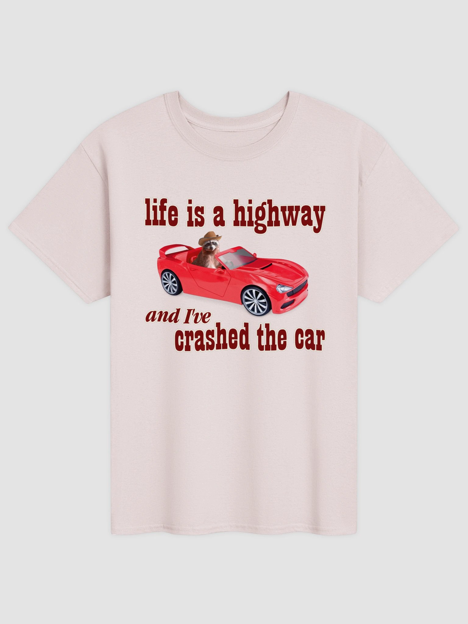 Life is a Highway - Raccoon T-shirt product image (33)