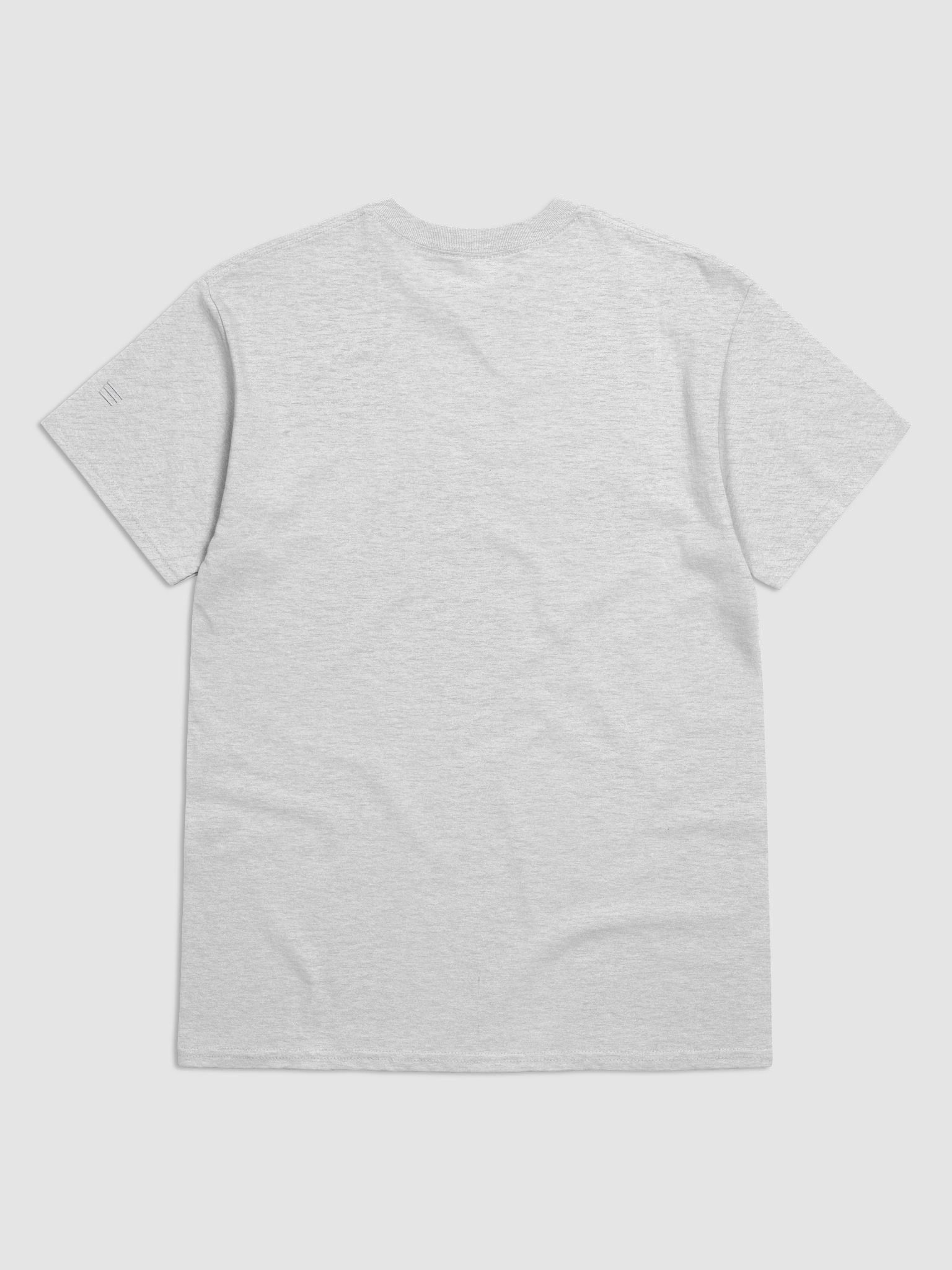 WS-ASH TEE product image (2)