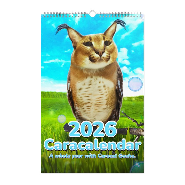 BIG CARACALENDAR 2026 (Limited Edition) product image (1)