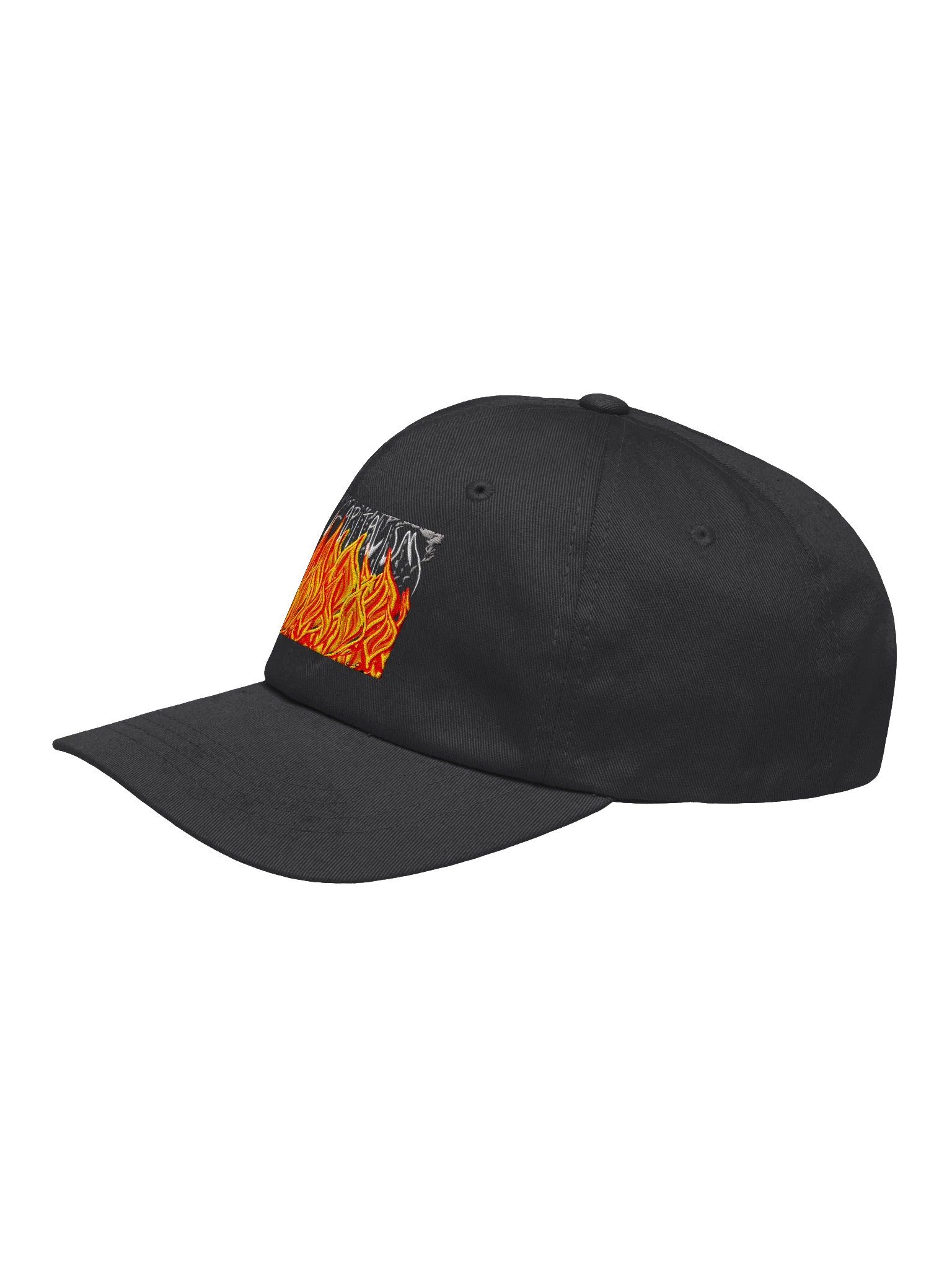 Burn Capitalism Down cap product image (3)