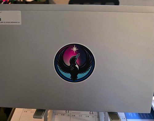 💙 Our fabulous customer shared a pic of their new rebel bird Minnesota loon sticker! Thank you, Kris!  @vwchis
