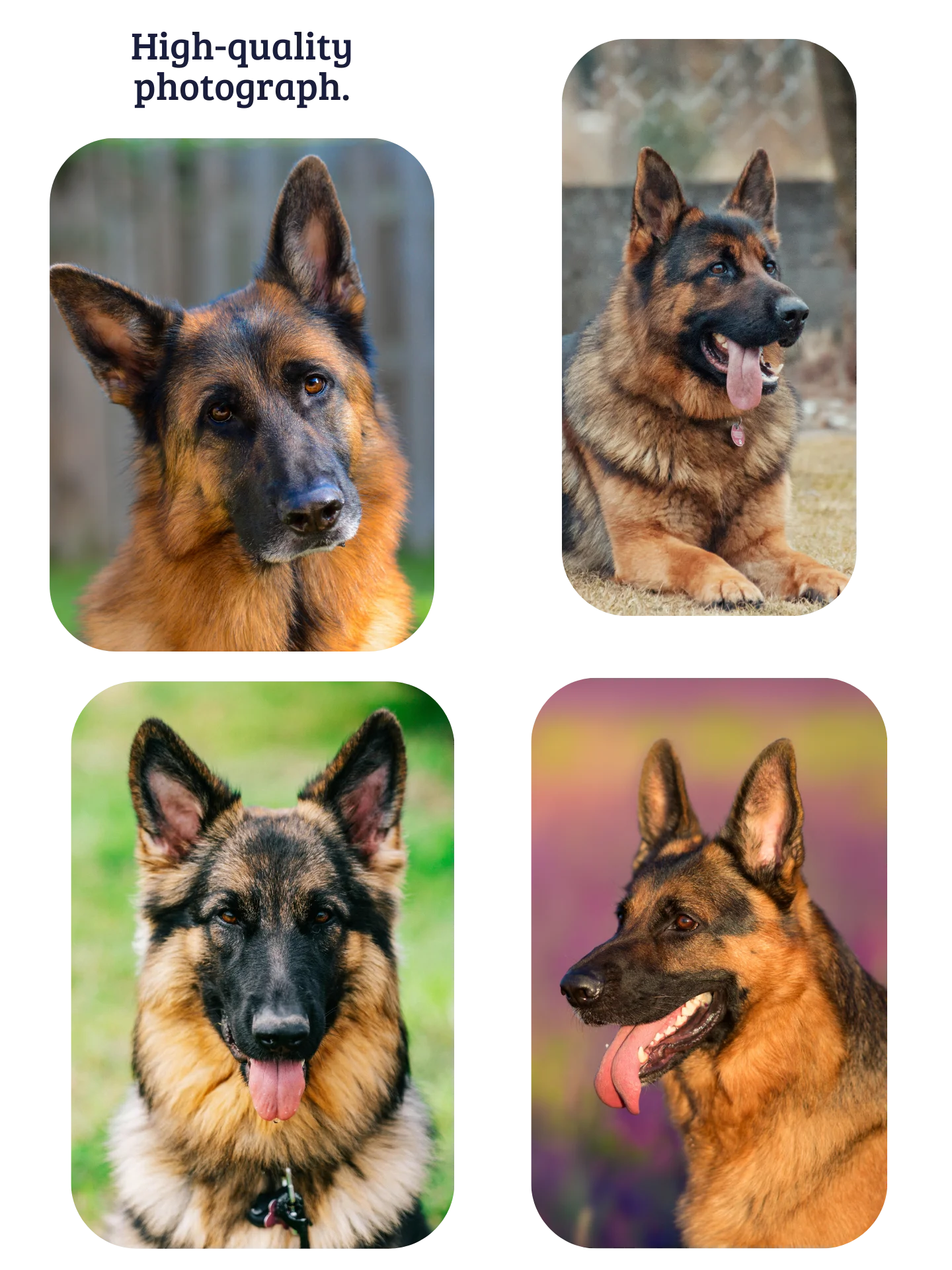 YOUR BEST FRIEND! / T-SHIRT WITH PERSONALIZED NAME / DIGITAL ART IV product image (4)