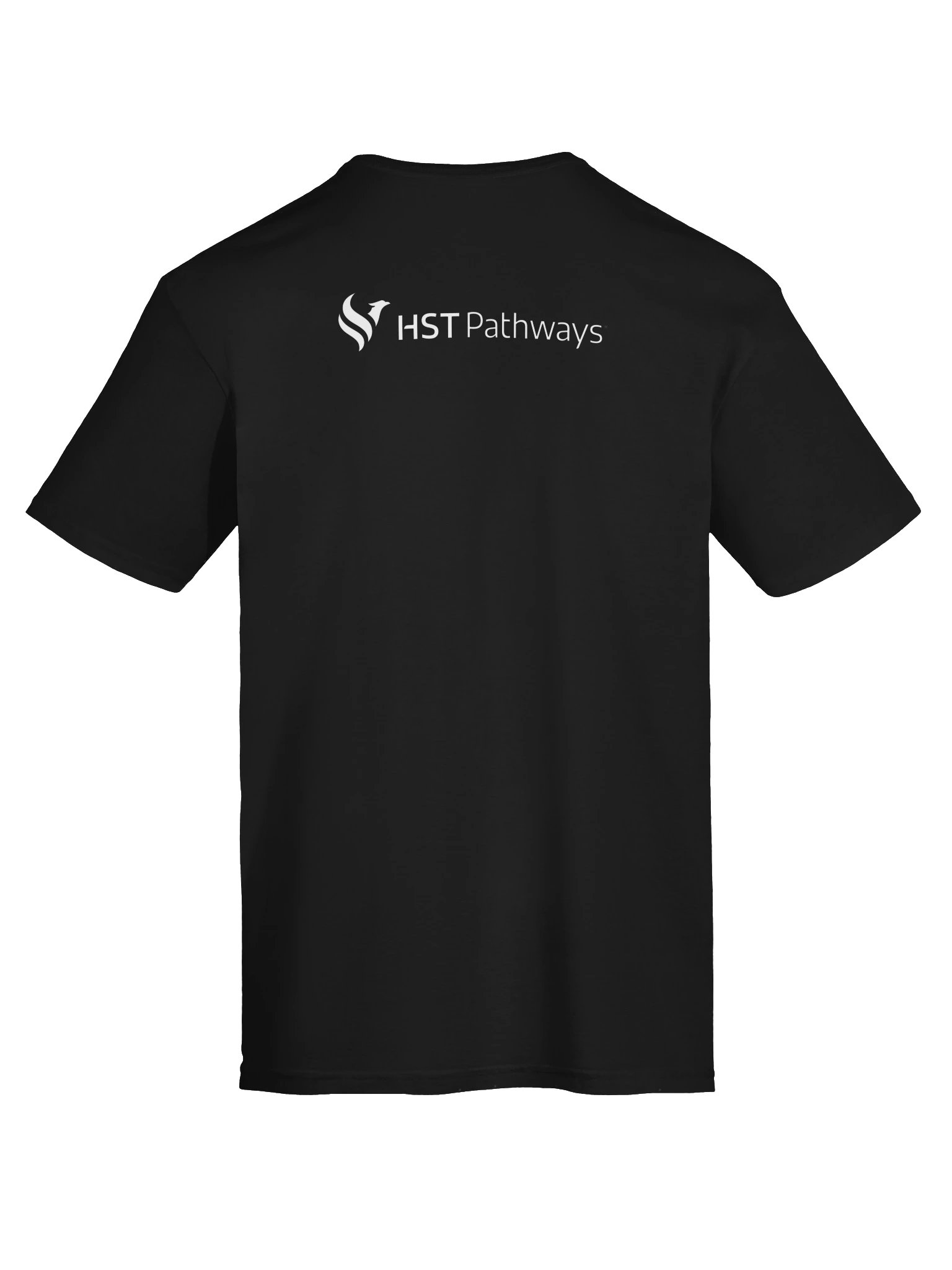 HST Pathways Unisex Softstyle T-Shirt - Quick Case product image (31)