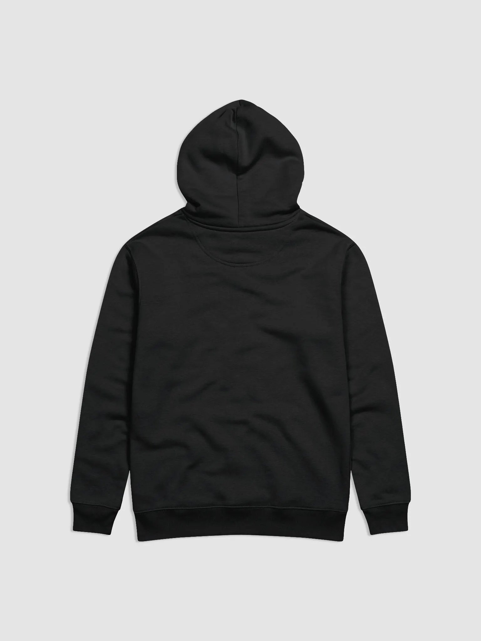 CatJam Hoodie product image (4)