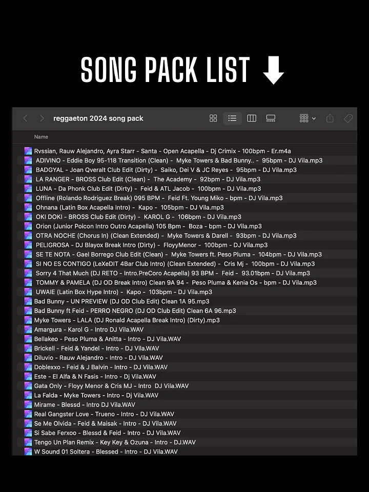 Reggaeton 2024 Mix – Song Pack product image (2)