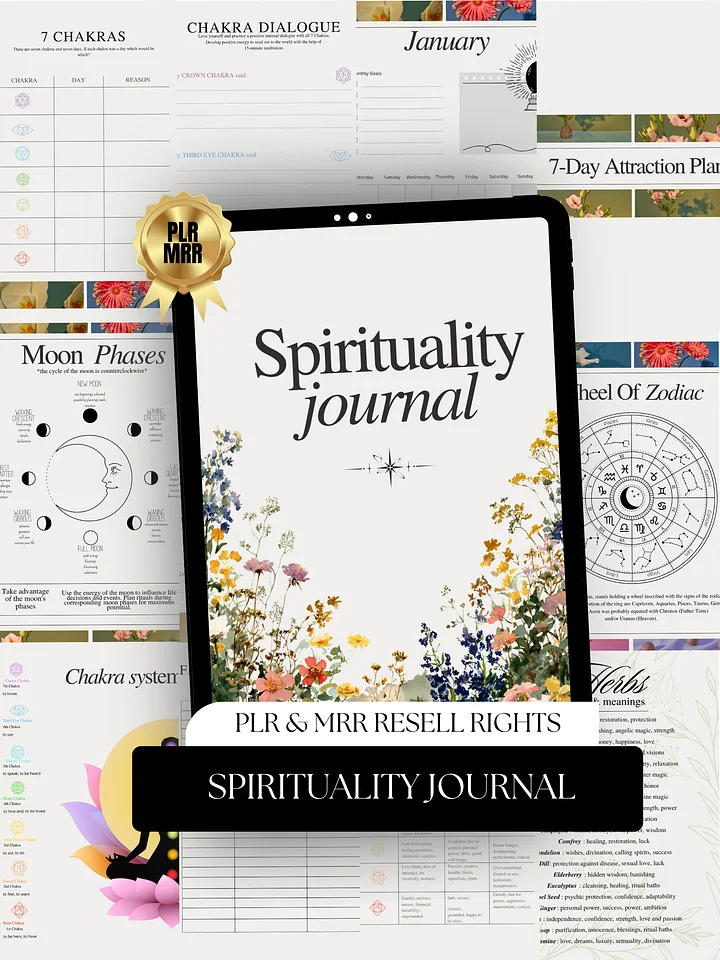 Spirituality Journal | PLR/MRR Ebook product image (1)