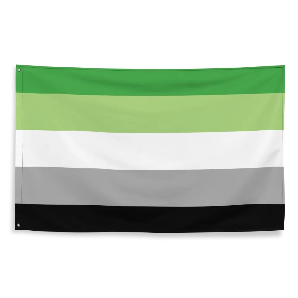 Aromantic Flag product image (2)