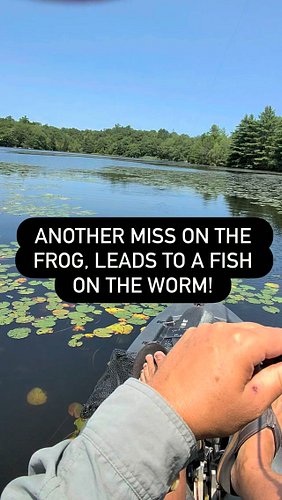 They swing and miss I follow up with the work or kreature bait and it’s been working. #bassfishing #kayakfishing #bassfishing...