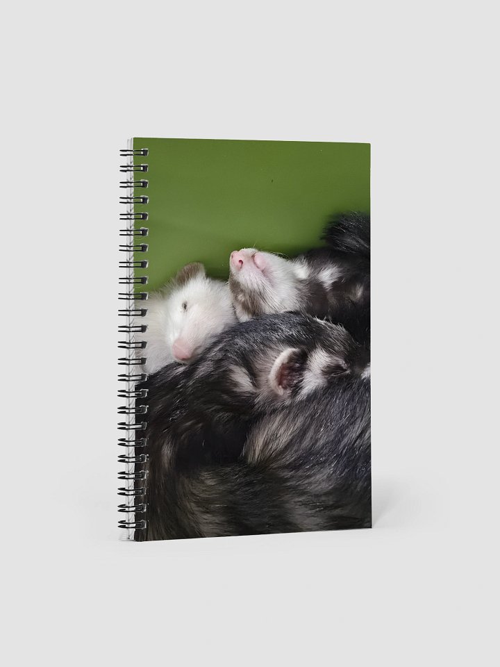 Lucy, Cici, Milly Notebook product image (1)