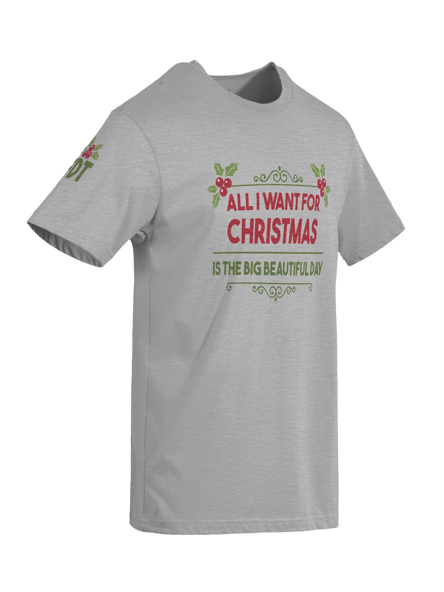 All I Want for Christmas Is... Tee | Brand Next Level product image (9)
