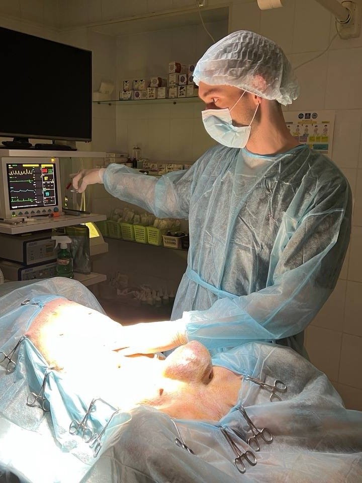 Expert Case Review by Dr. Alex Strelkov product image (2)