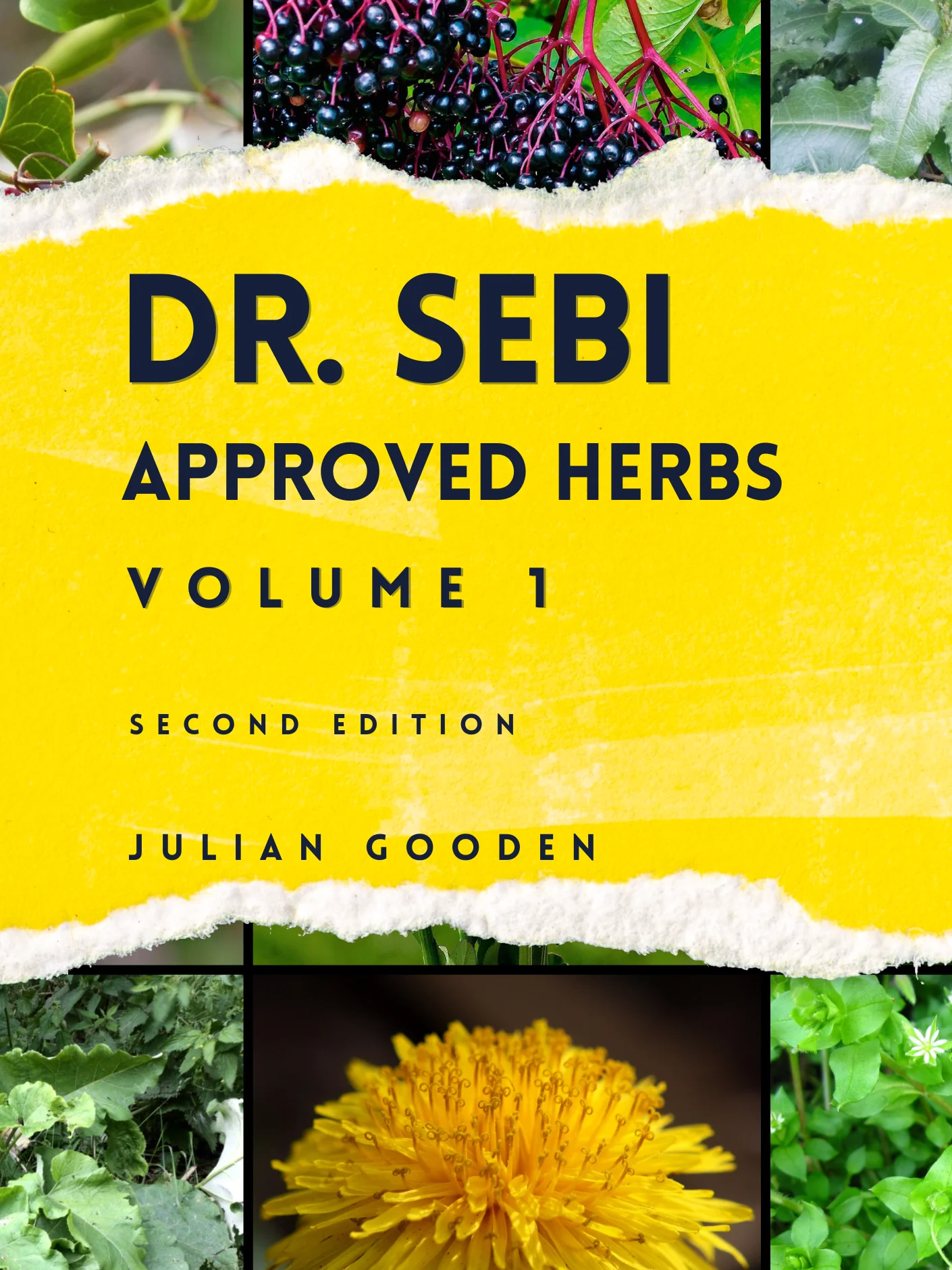 Dr. Sebi Approved Herbs, Volume 1 (Ebook) product image (2)