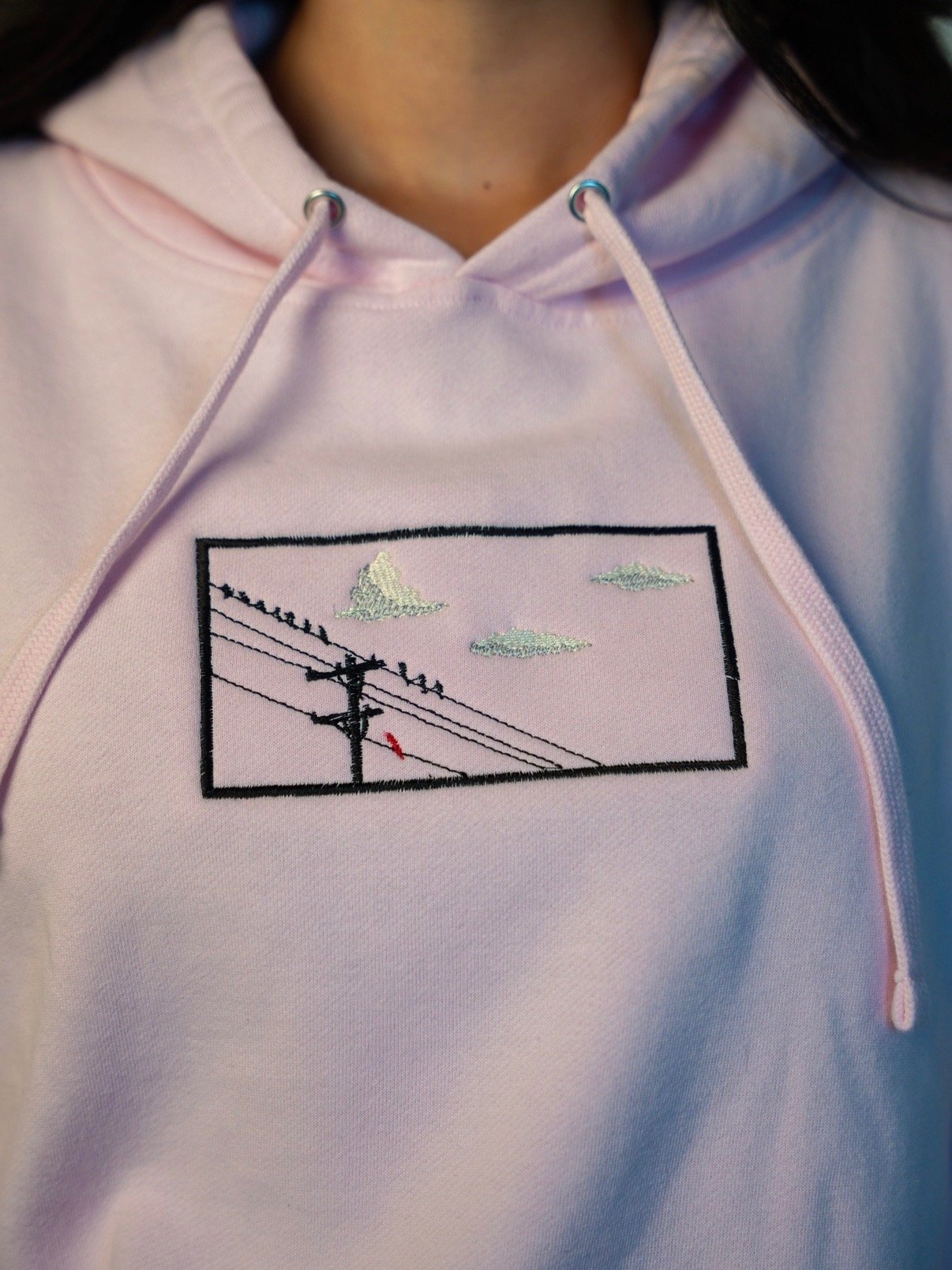 Forgotten Cardinal Sweatshirt product image (3)