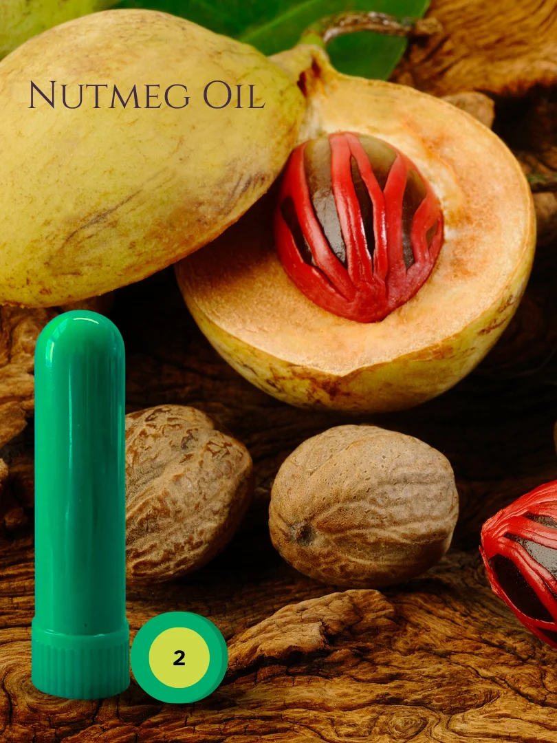 Olfaria Spice Odor Training Kit | 5 Single-Note Essential Oils | Scent Education | Train Your Nose product image (3)