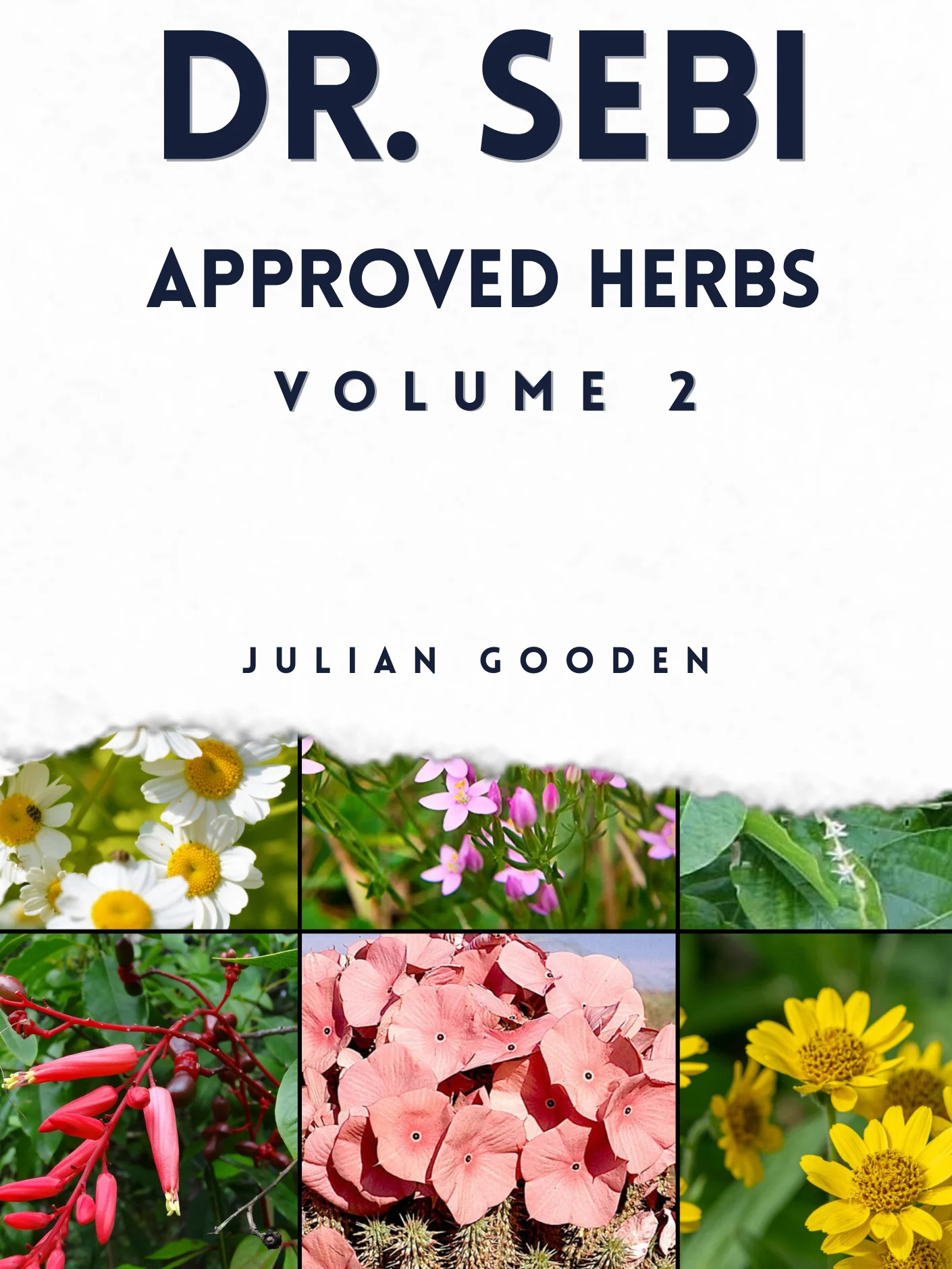 Dr. Sebi Approved Herbs, Volume 2 (23 Alkaline Herbs with Uses and Formulas) product image (2)