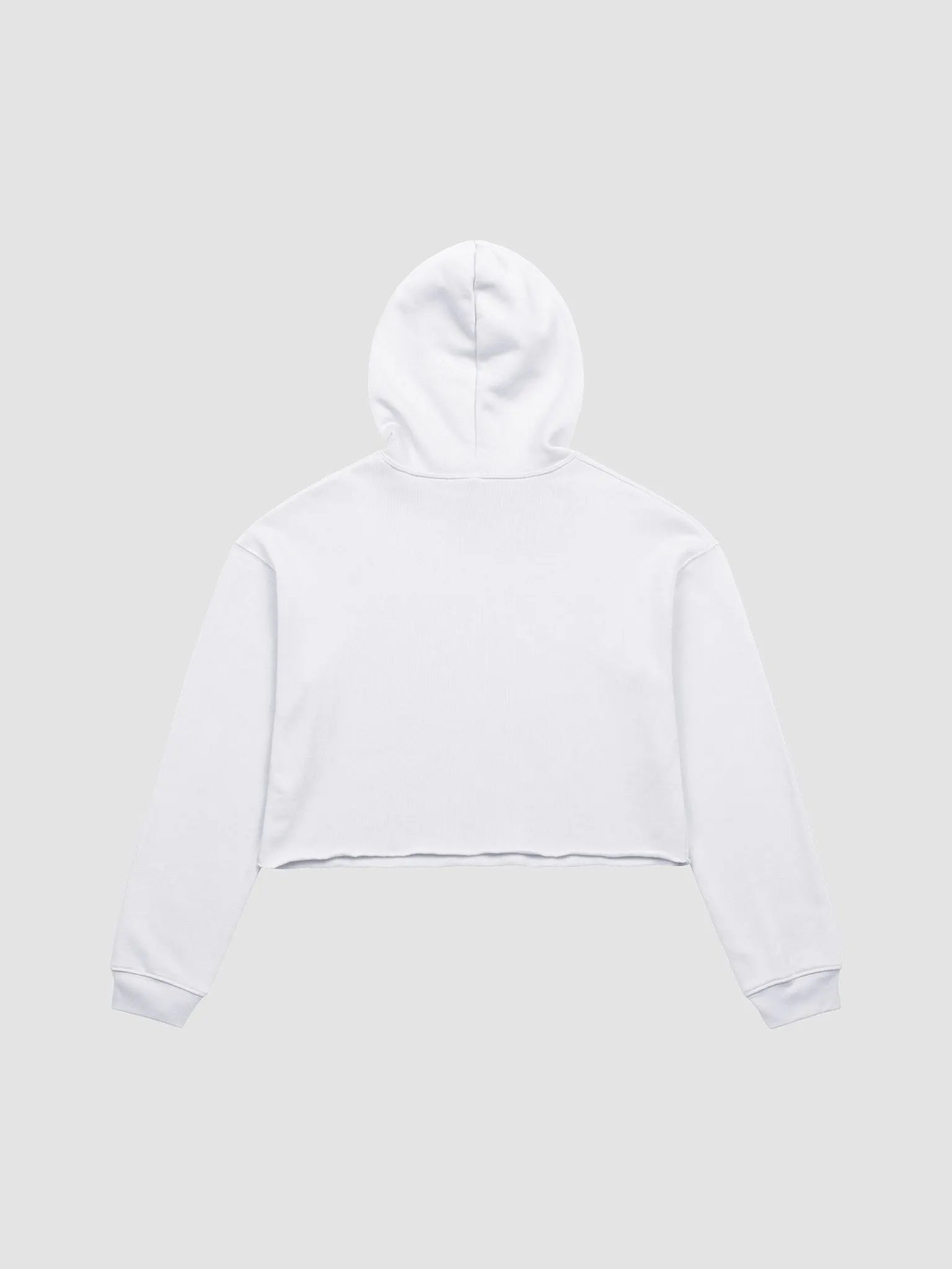 Crop PTV Hoodie product image (2)