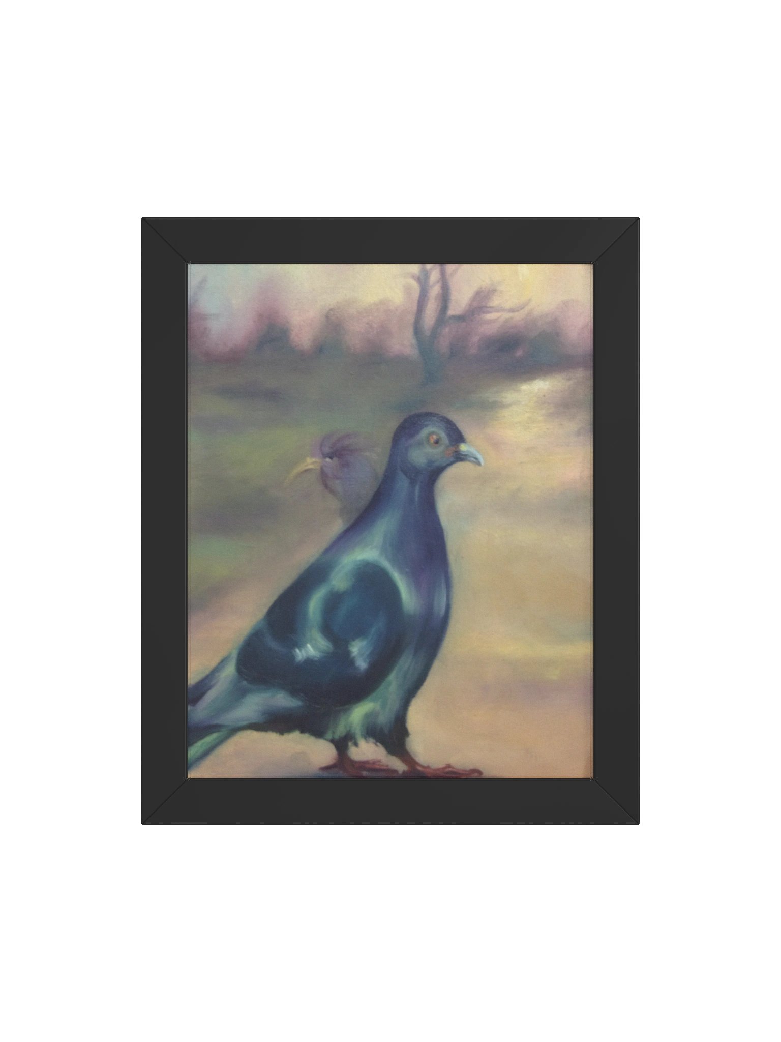 Green-Winged Dove Fine Art Print | Harriet Muller product image (5)
