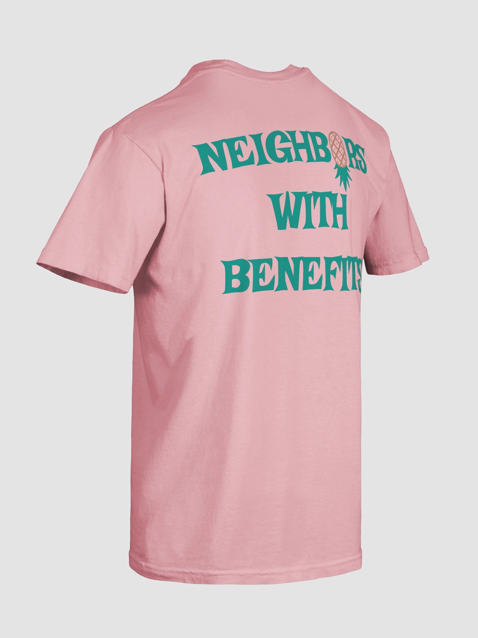 NEIGHBORS WITH BENEFITS - SALTY TEE product image (3)
