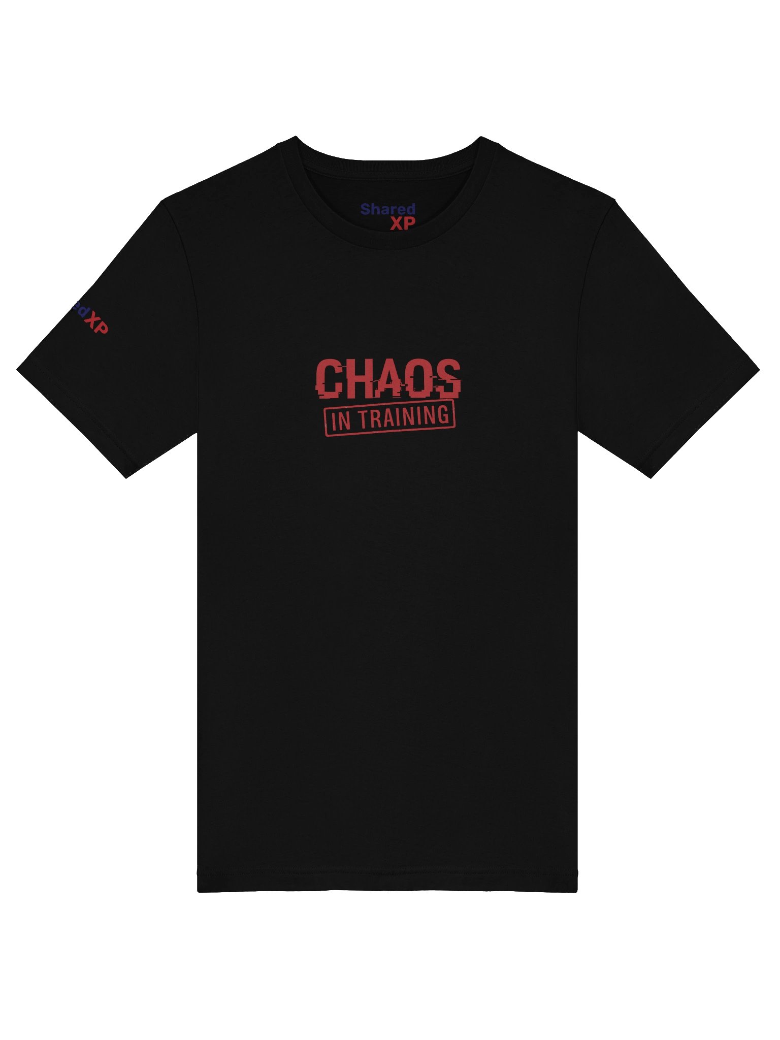 Chaos in Training T-Shirt product image (54)