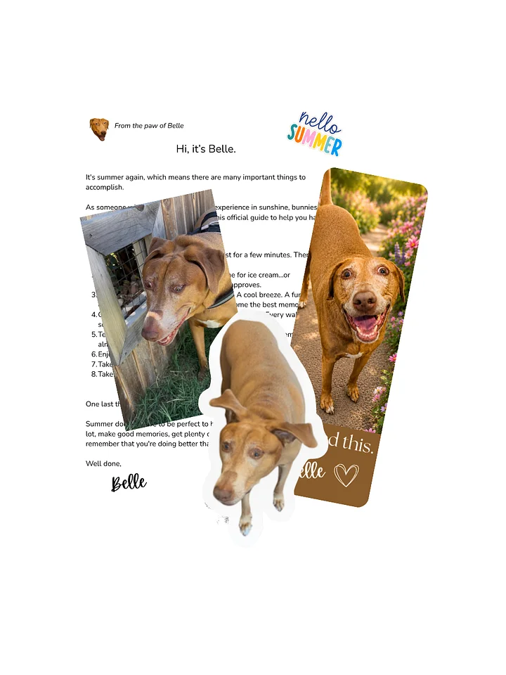 Belle's Summer Letter (Limited) product image (1)
