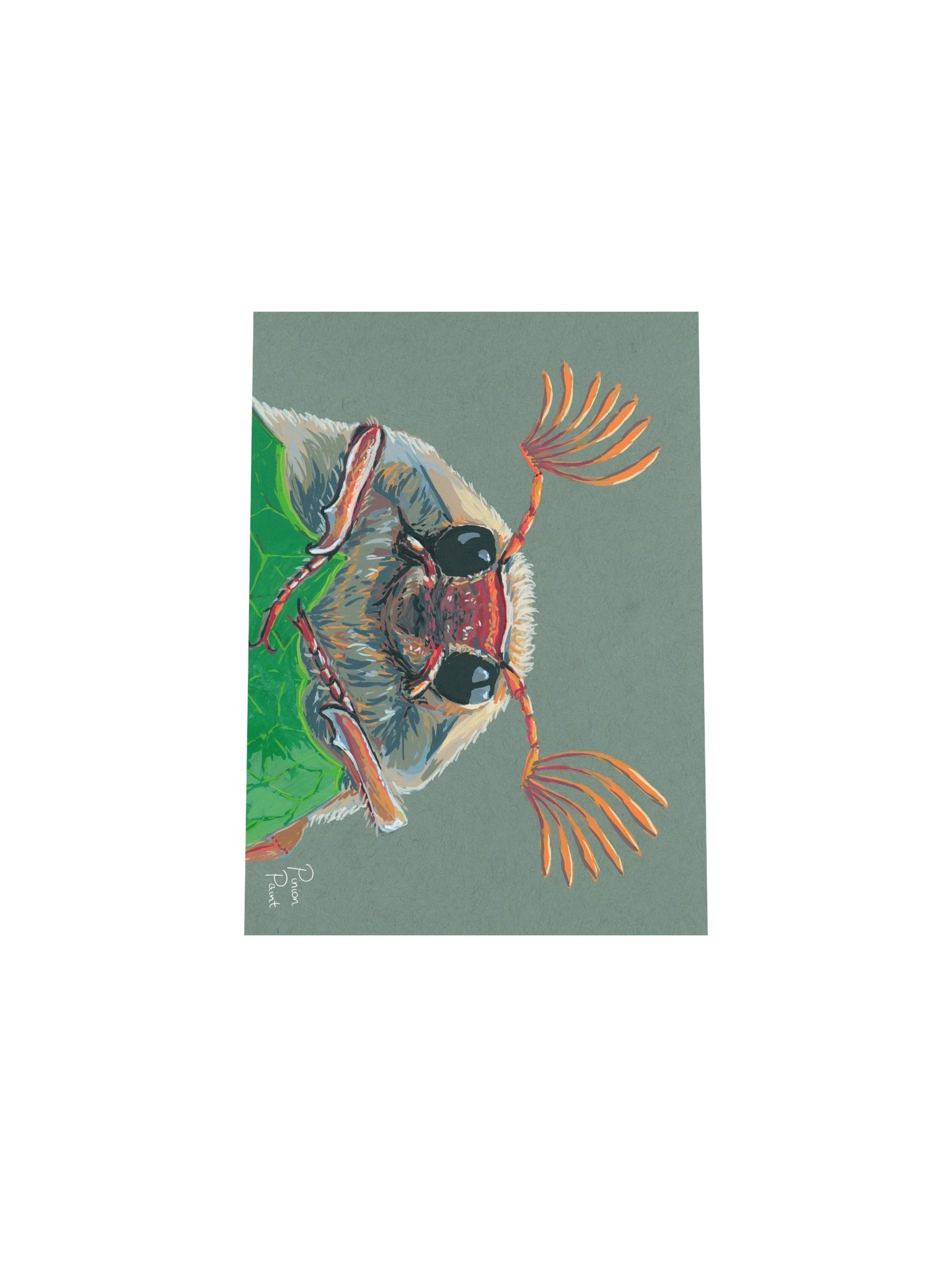 Cockchafer print product image (4)