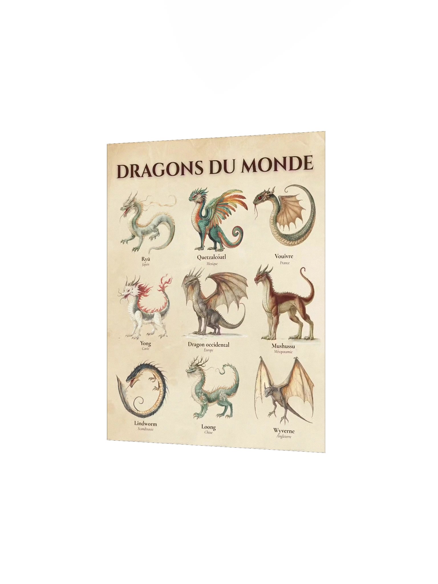 Poster Dragons du Monde product image (4)