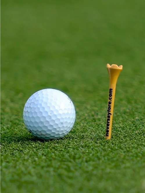 NSF 2.75in Plastic Golf Tees - 30 Count product image (1)